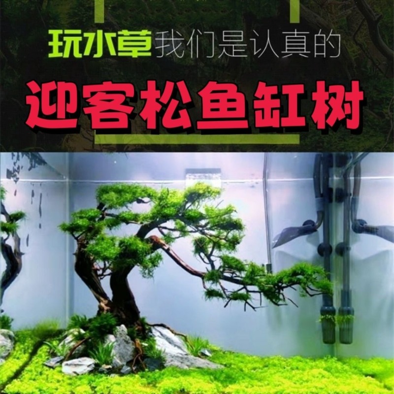 อ่างดอกไม้ศิลปะจากไม้ลอยน้ำแบบ - Resin Art With Wood บทวิจารณ์และราคา