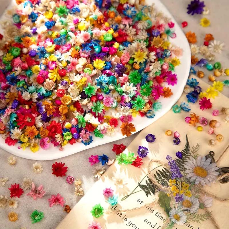 ดอกไม้หลากสีสันผสมสําหรับการปั - Resin Art Design บทวิจารณ์และราคา