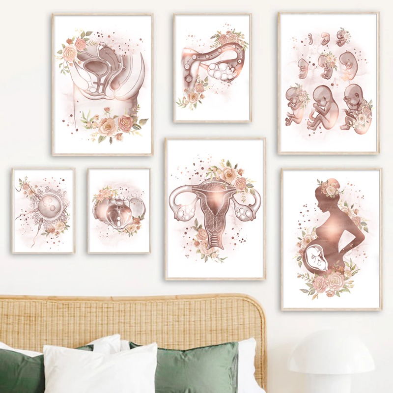 นรีเวชวิทยา กายวิภาคสตรี ภาวะเ - Resin Art Pregnancy บทวิจารณ์และราคา